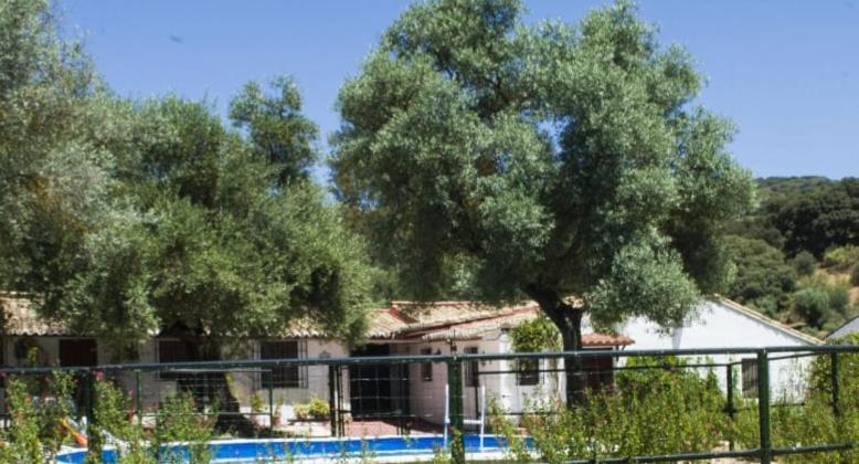 Casa Abanto Villa Ronda Exteriör bild