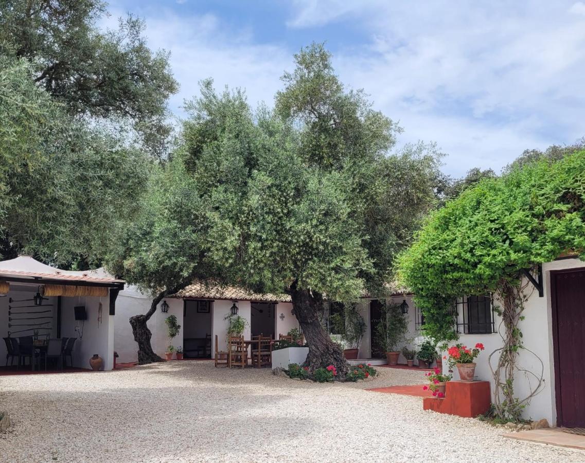 Casa Abanto Villa Ronda Exteriör bild