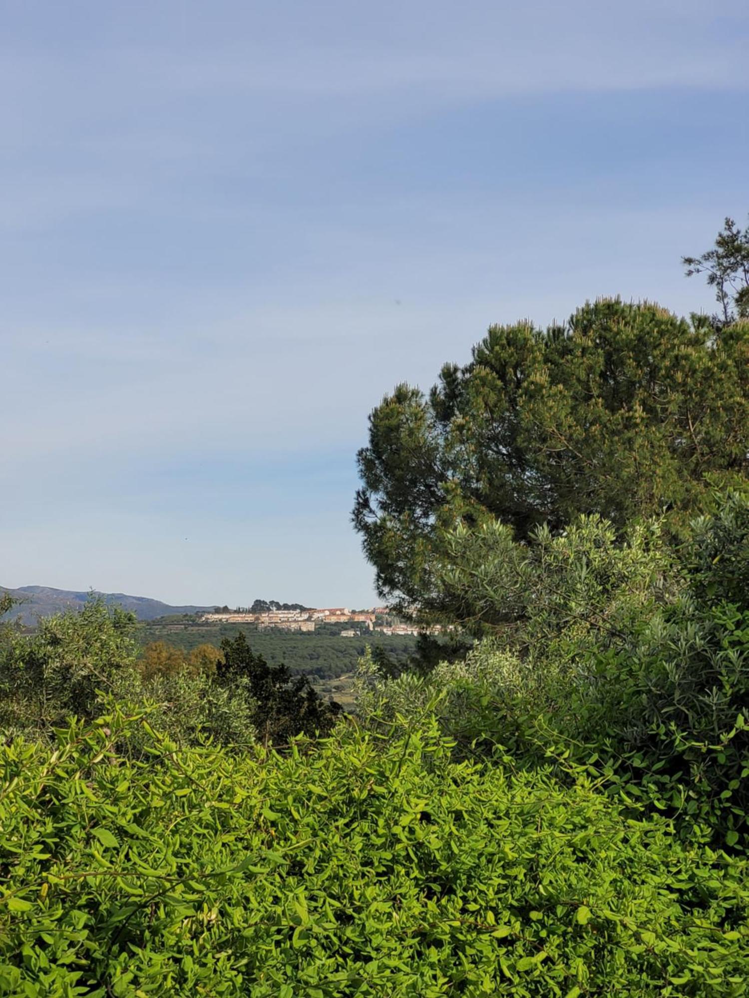 Casa Abanto Villa Ronda Exteriör bild